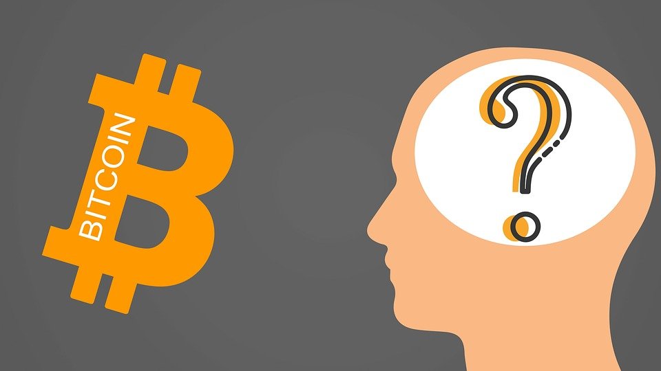 Welcome the Longest Bitcoin Bear Market Yet Bitcoin bear