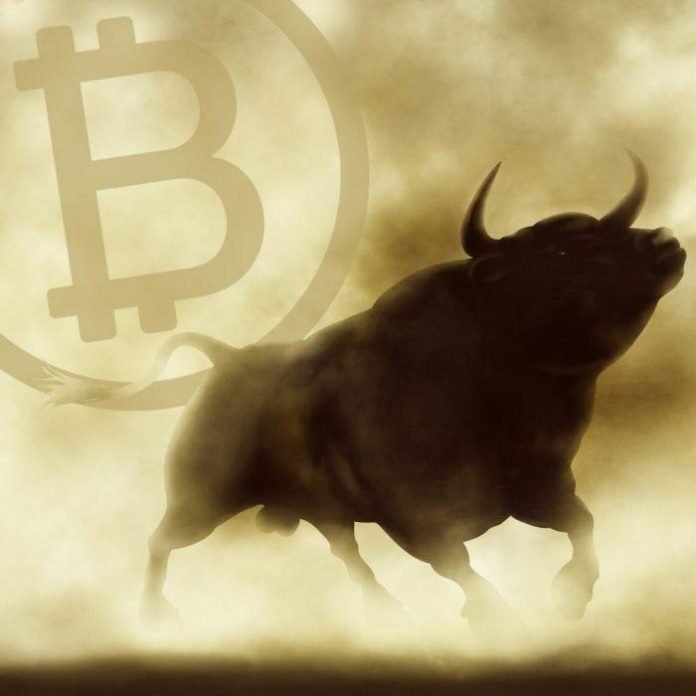 Crypto-Bullish-Predictions-BTC-To-Hit-28K-LTC-650-ETH.jpg