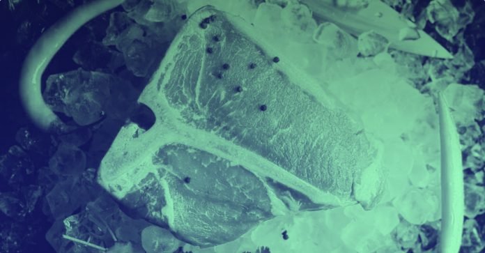 Better-than-an-ICO-NULS-trials-a-new-way-to.png Better than an ICO? NULS trials a new way to get blockchain projects off the ground