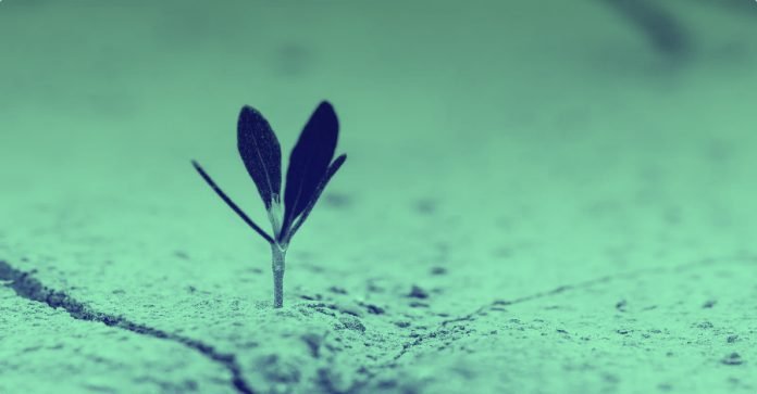 Bitcoin’s-Lightning-Network-has-grown-nearly-100-in-2019.png Bitcoin’s Lightning Network has grown nearly 100% in 2019
