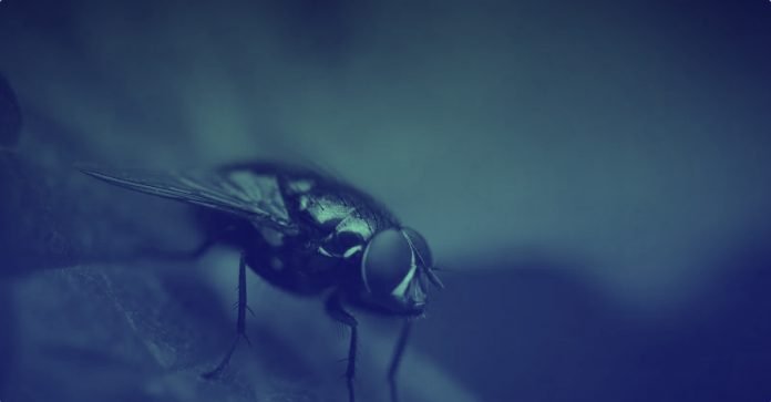 Coinbase-password-bug-hits-3420-users.png Coinbase password bug hits 3,420 users