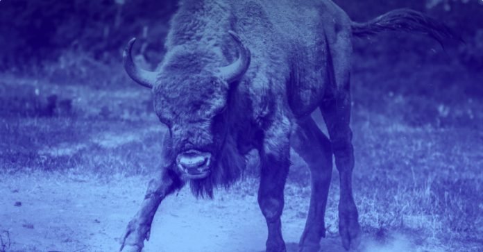 Great-sign-for-the-ecosystem-Crypto-devs-are-as-bullish.png Great sign for the ecosystem: Crypto devs are as bullish as ever