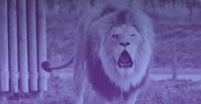 Number-of-publishers-on-Brave-increased-1200-since-mid-2018.png Number of publishers on Brave increased 1,200% since mid-2018