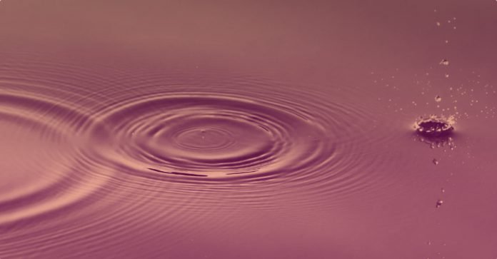 XRP’s-price-falls-now-worth-one-quarter.png XRP’s price falls, now worth one quarter