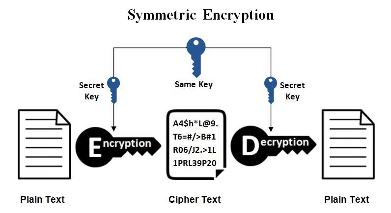 Network Security Using Cryptography: Everything you need to know Network Security Using Cryptography: Everything you need to know