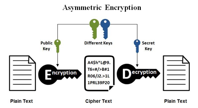 Network Security Using Cryptography: Everything you need to know Network Security Using Cryptography
